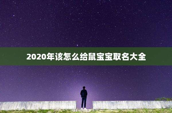 2020年该怎么给鼠宝宝取名大全