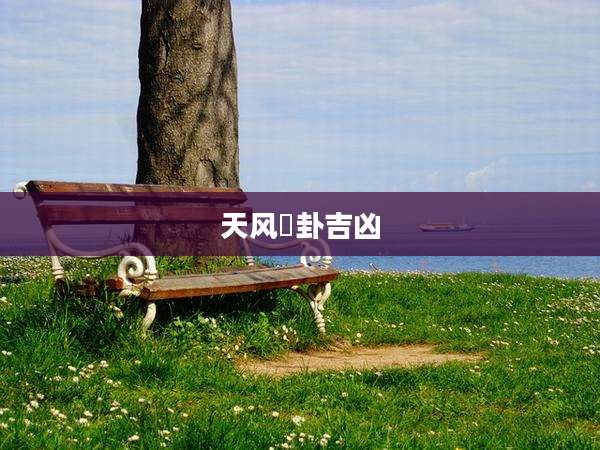 天风姤卦吉凶