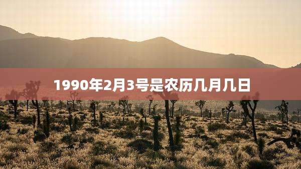 1990年2月3号是农历几月几日