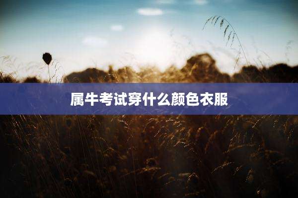 属牛考试穿什么颜色衣服
