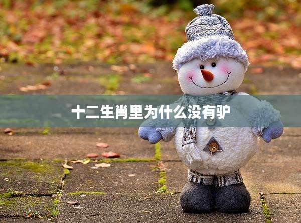 十二生肖里为什么没有驴