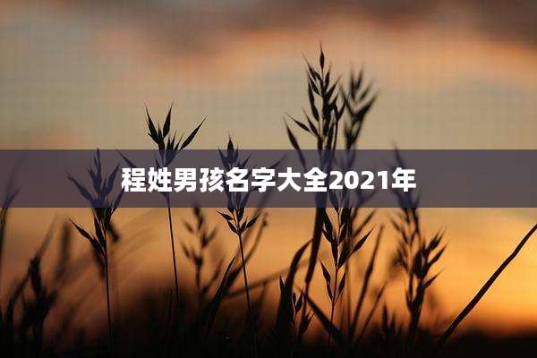 程姓男孩名字大全2021年