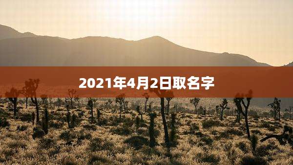 2021年4月2日取名字