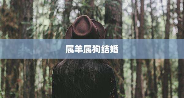 属羊属狗结婚