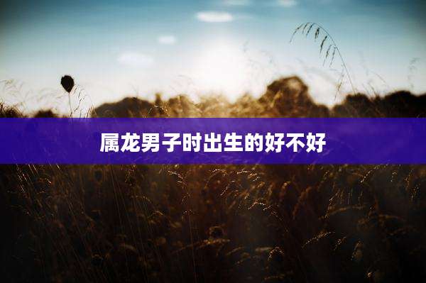 属龙男子时出生的好不好