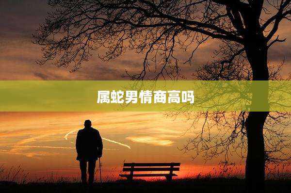 属蛇男情商高吗