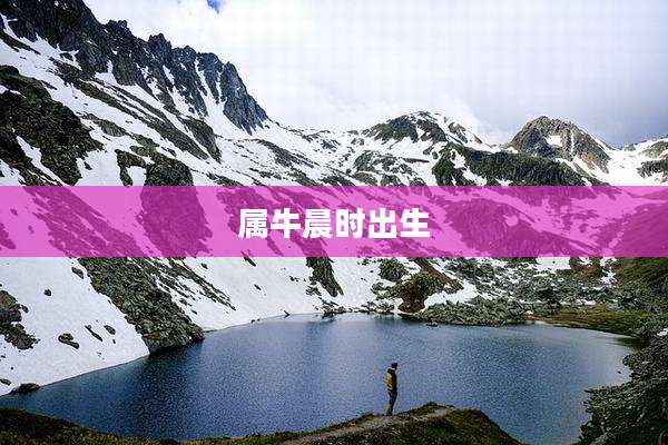 属牛晨时出生