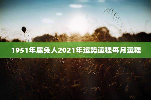 1951年属兔人2021年运势运程每月运程