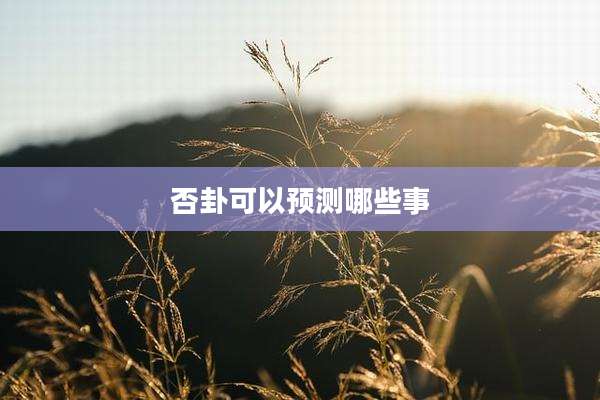 否卦可以预测哪些事