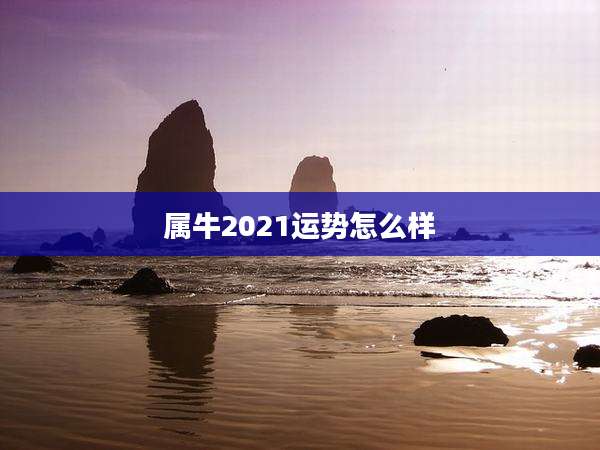 属牛2021运势怎么样