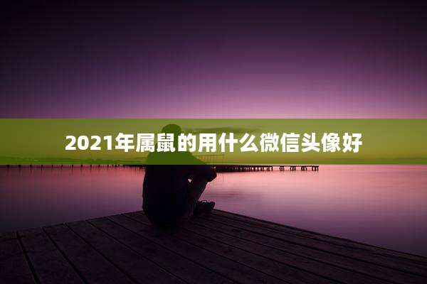 2021年属鼠的用什么微信头像好