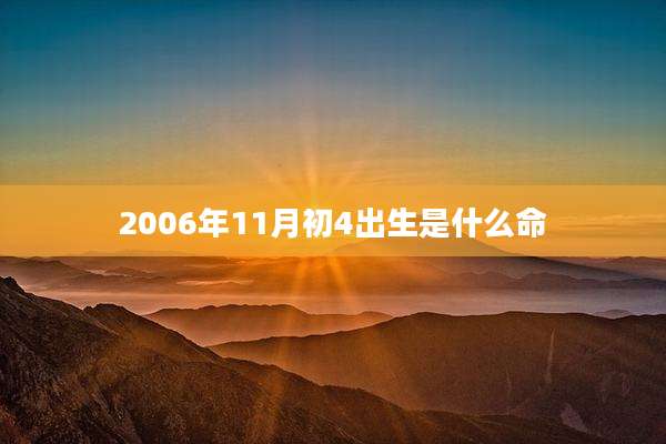 2006年11月初4出生是什么命