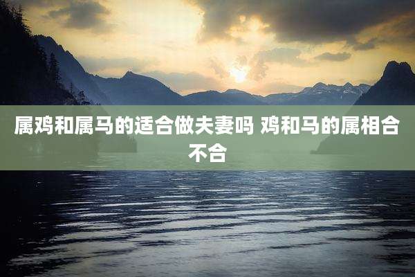 属鸡和属马的适合做夫妻吗 鸡和马的属相合不合