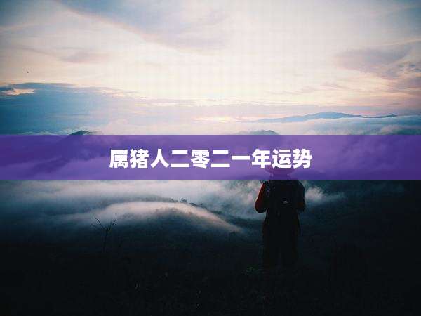 属猪人二零二一年运势