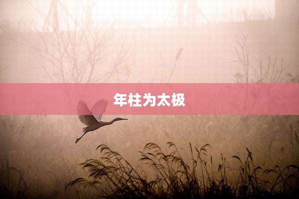 年柱为太极
