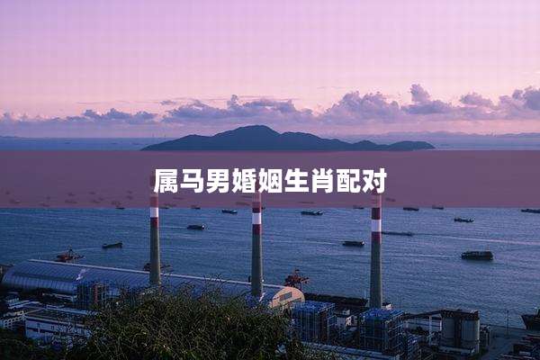 属马男婚姻生肖配对