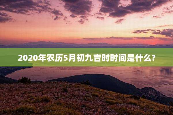 2020年农历5月初九吉时时间是什么?