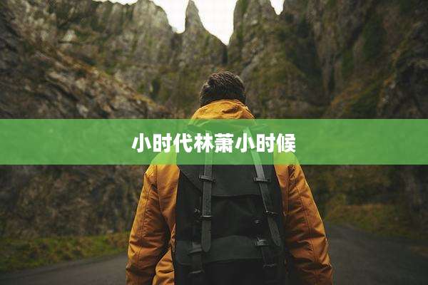 小时代林萧小时候