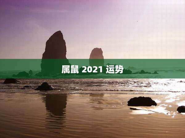 属鼠 2021 运势