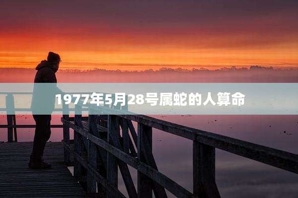 1977年5月28号属蛇的人算命
