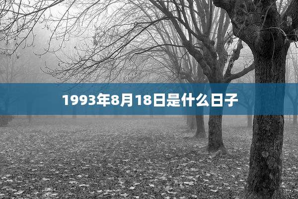 1993年8月18日是什么日子