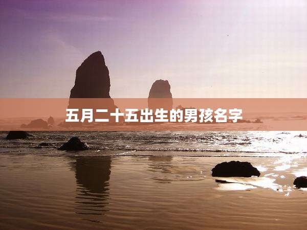五月二十五出生的男孩名字