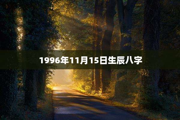 1996年11月15日生辰八字