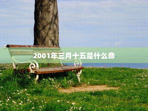 2001年三月十五是什么命