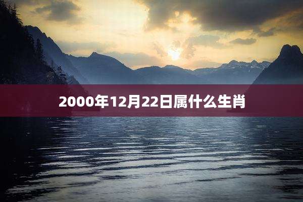 2000年12月22日属什么生肖