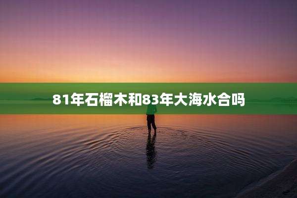 81年石榴木和83年大海水合吗