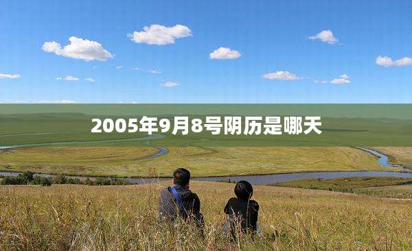 2005年9月8号阴历是哪天