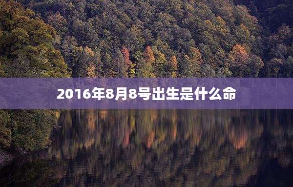 2016年8月8号出生是什么命