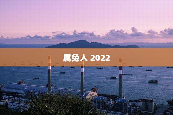属兔人 2022