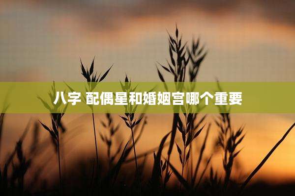 八字 配偶星和婚姻宫哪个重要