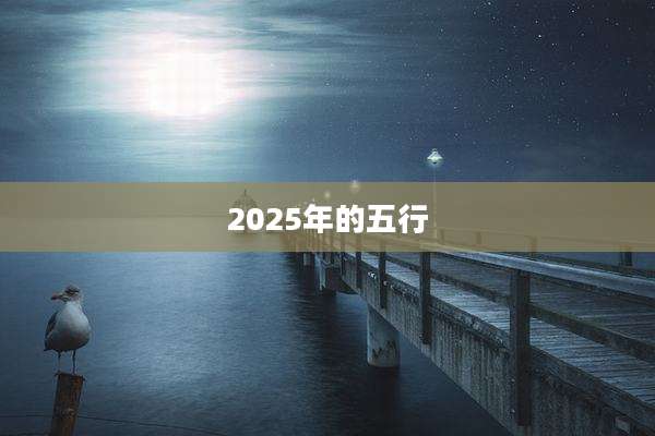 2025年的五行