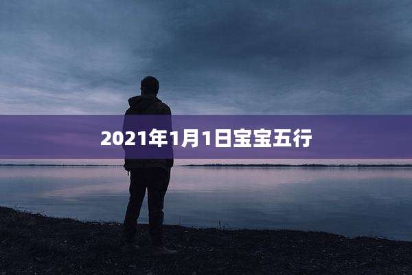 2021年1月1日宝宝五行
