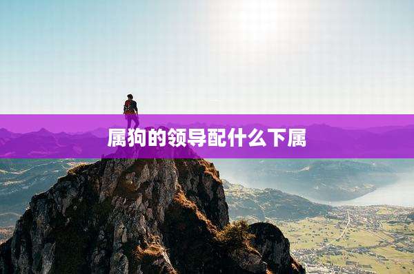 属狗的领导配什么下属