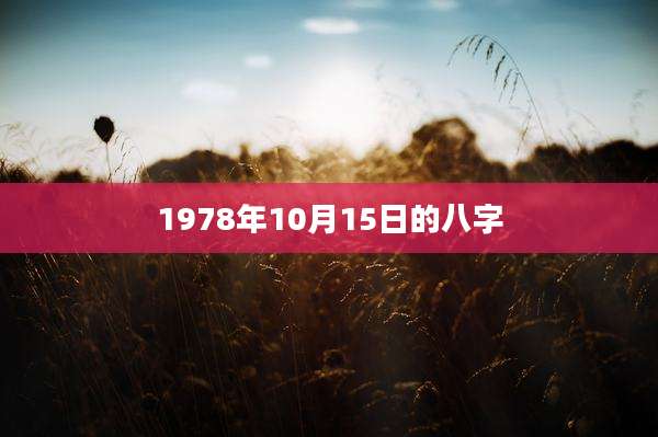 1978年10月15日的八字