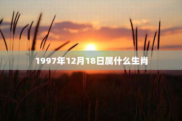 1997年12月18日属什么生肖
