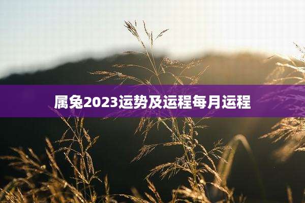属兔2023运势及运程每月运程