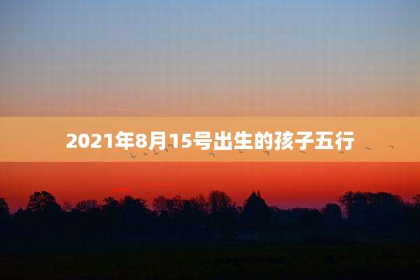 2021年8月15号出生的孩子五行