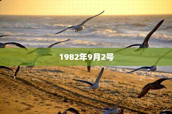 1982年9月2号