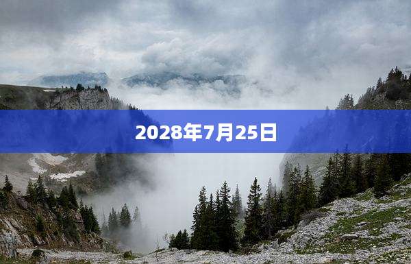 2028年7月25日