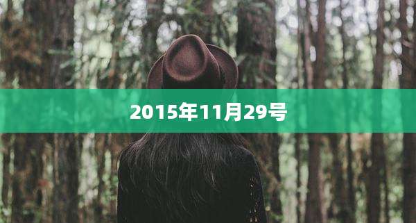2015年11月29号