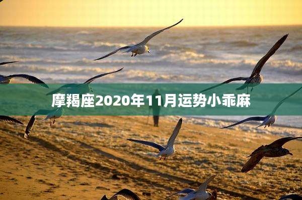 摩羯座2020年11月运势小乖麻