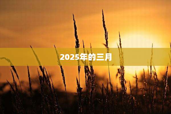2025年的三月