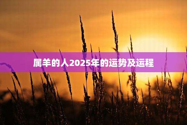 属羊的人2025年的运势及运程