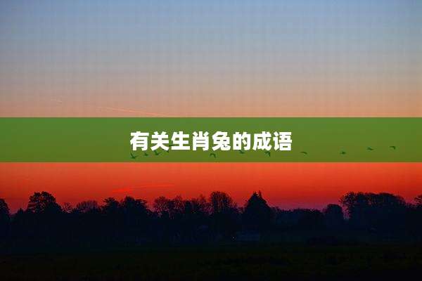 有关生肖兔的成语