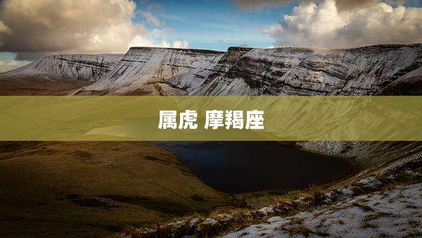 属虎 摩羯座