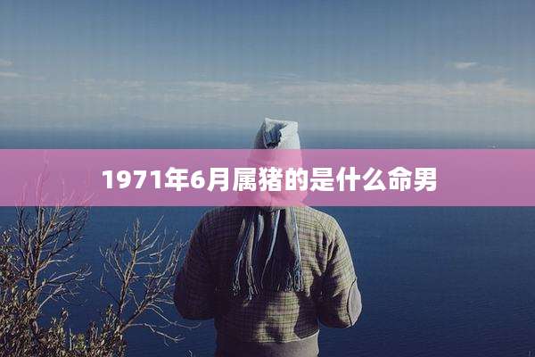 1971年6月属猪的是什么命男